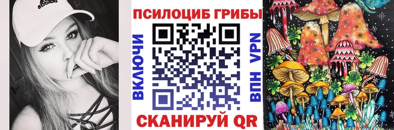 Галлюциногенные грибы Psilocybe  Слободской 